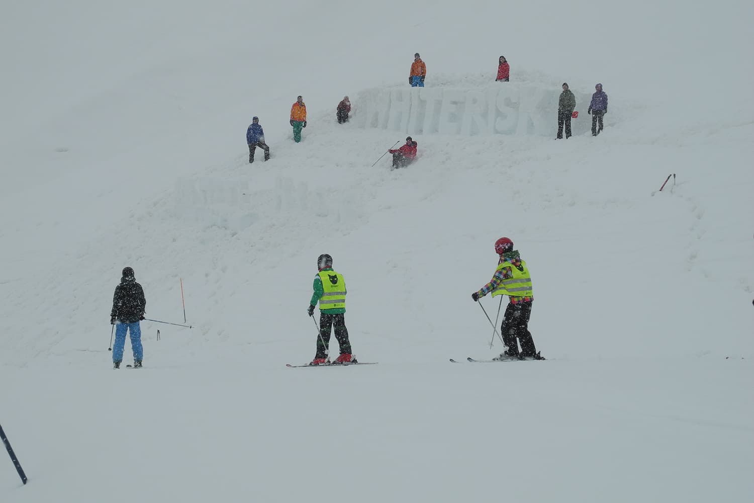 Logo White Risk nella neve